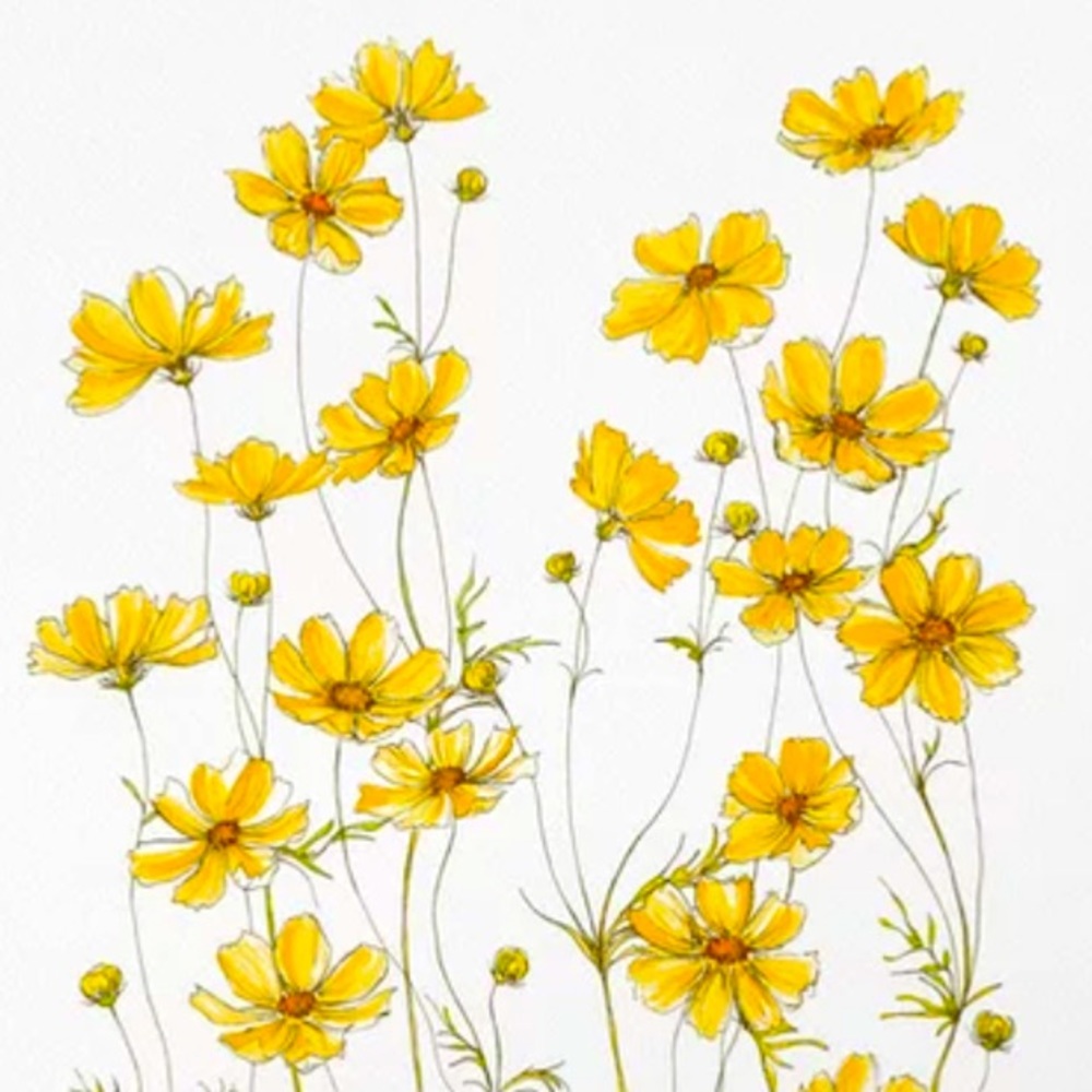 Meet your Posher, @baclothing